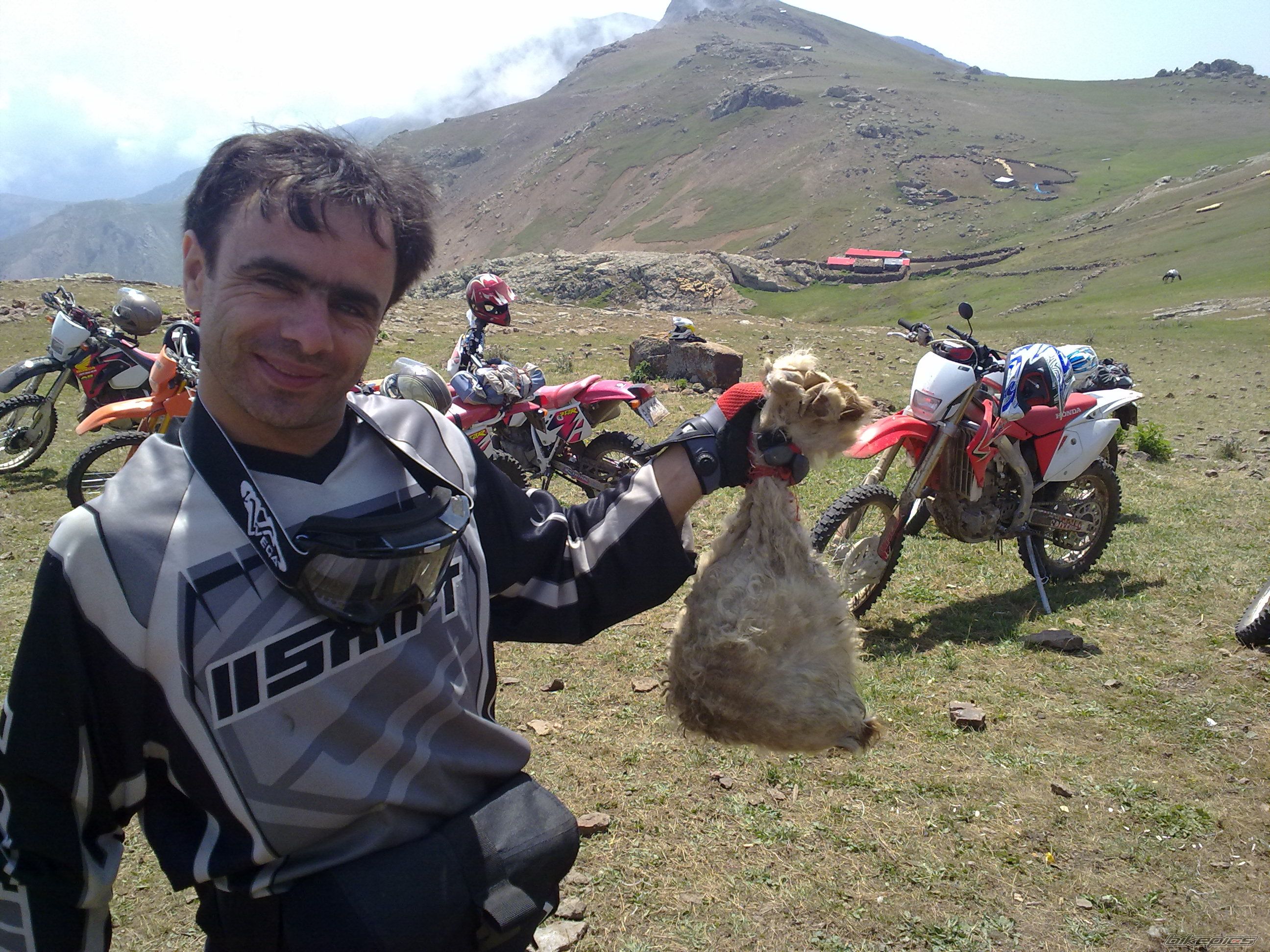 Bike Photo 2311552