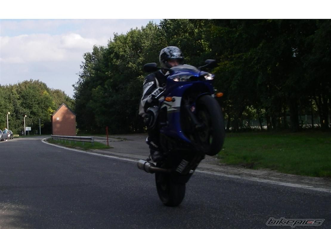 Photo 2311569