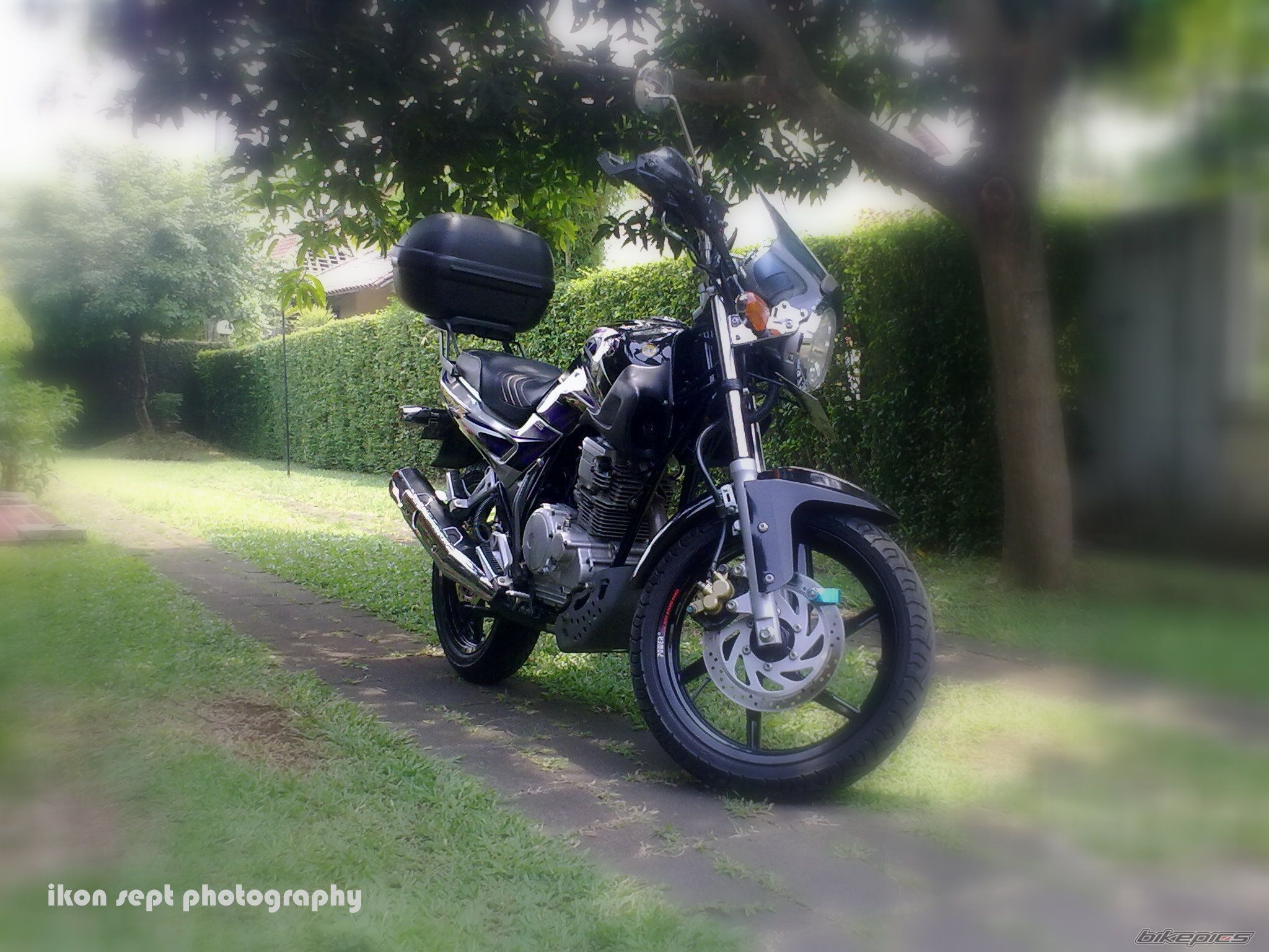 Photo 2311577