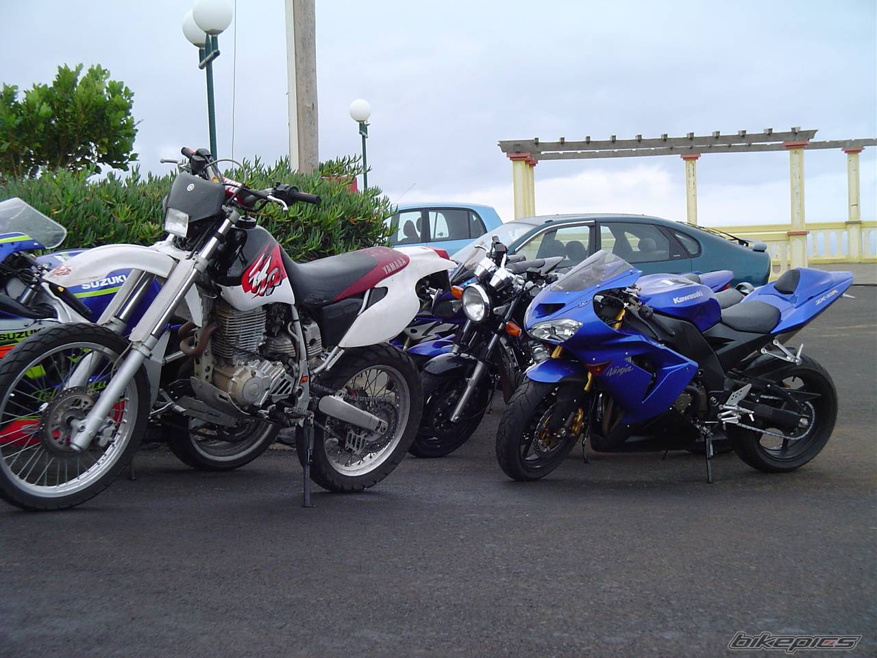 Photo 231173
