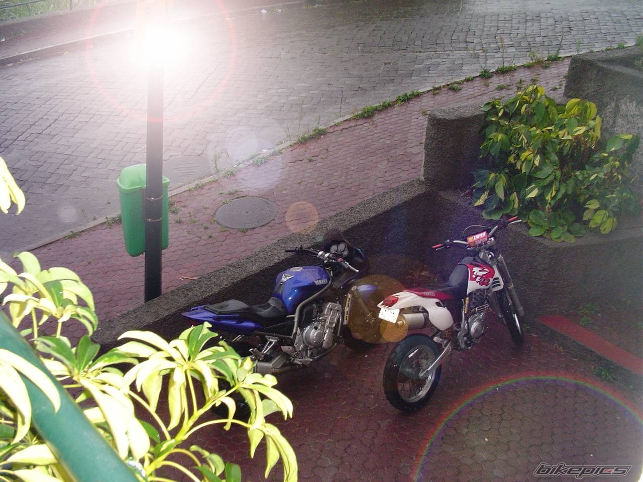 Photo 231174