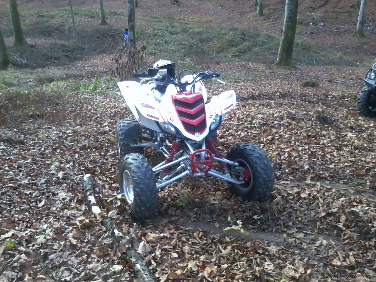 Photo 2311799