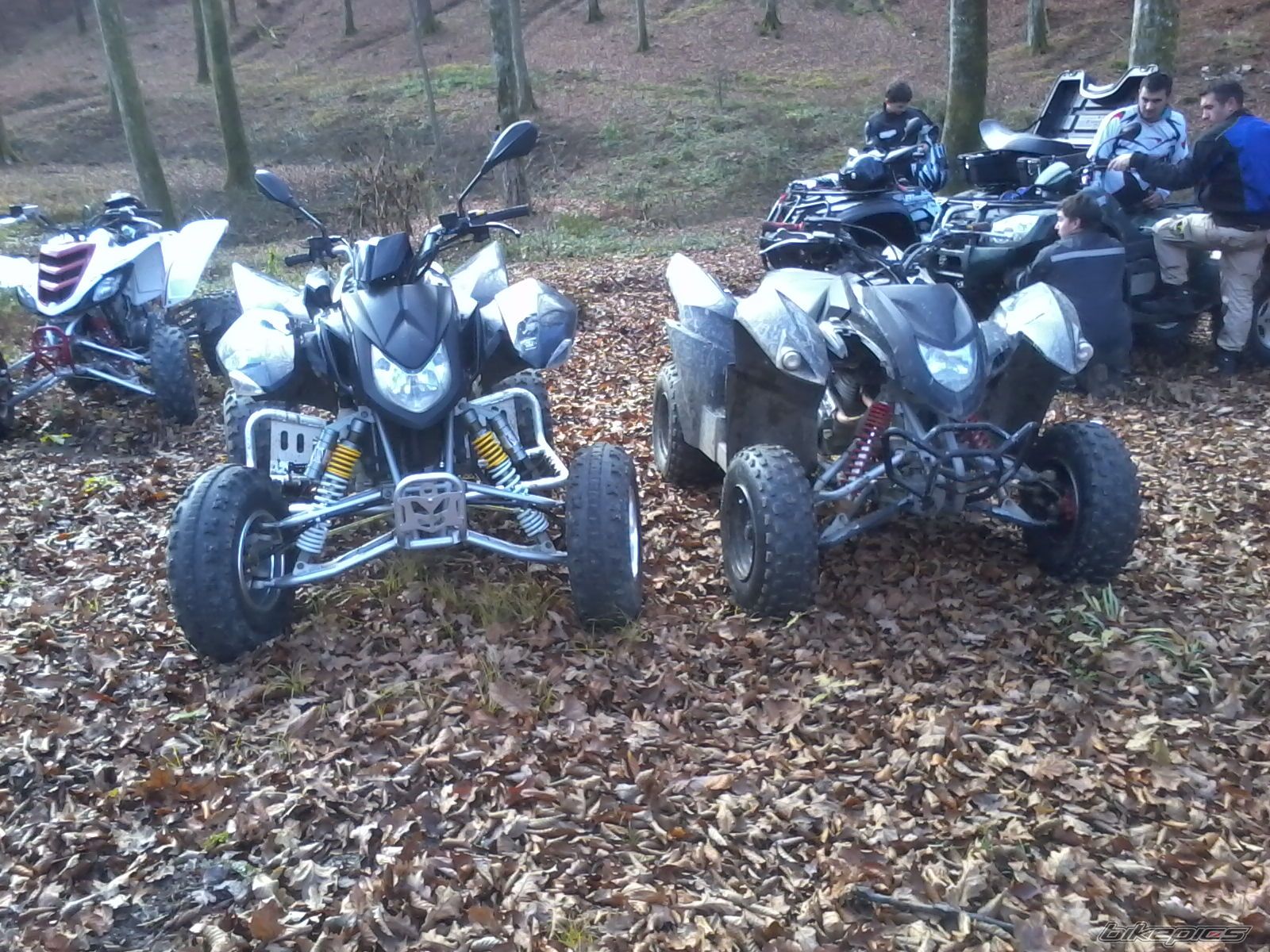Bike Photo 2311801