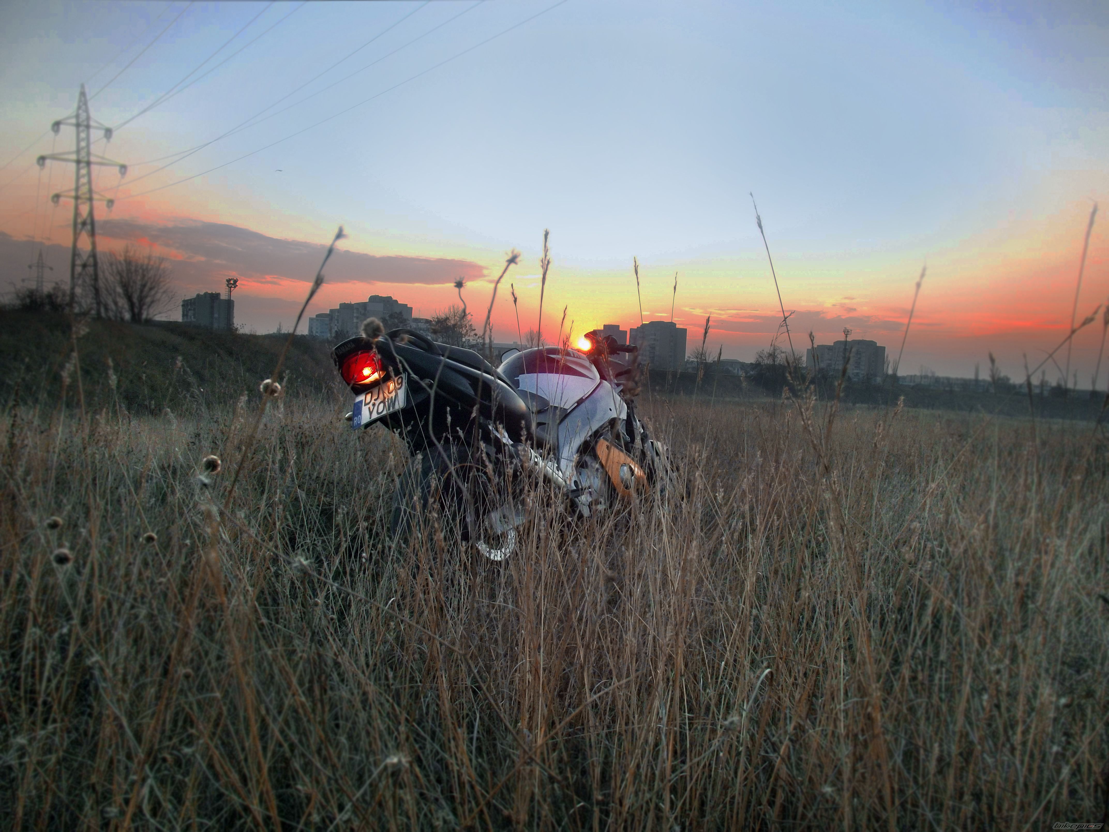 Bike Photo 2311983