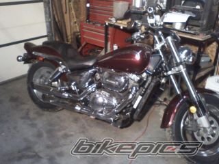 Photo 2311994