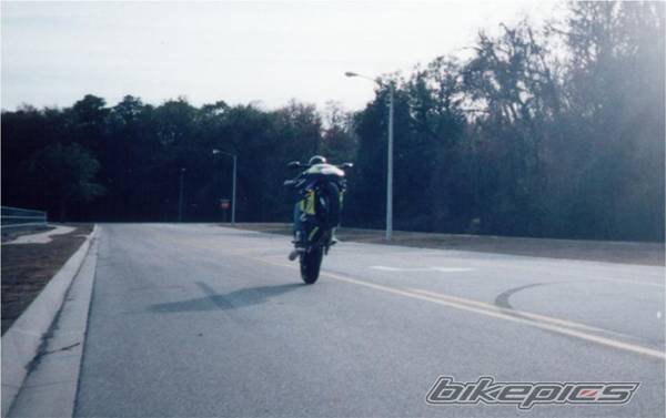 Photo 2312