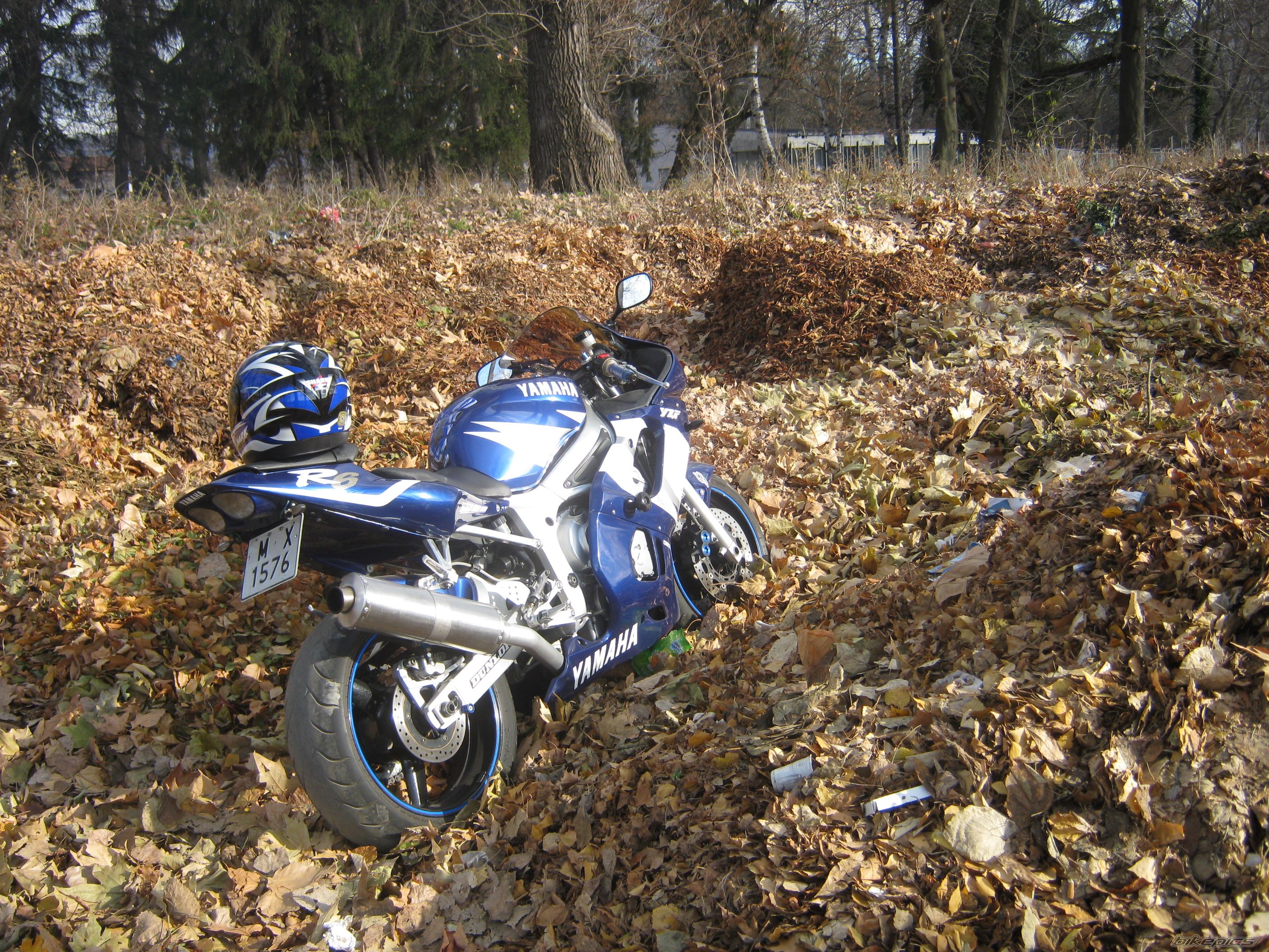 Photo 2312133