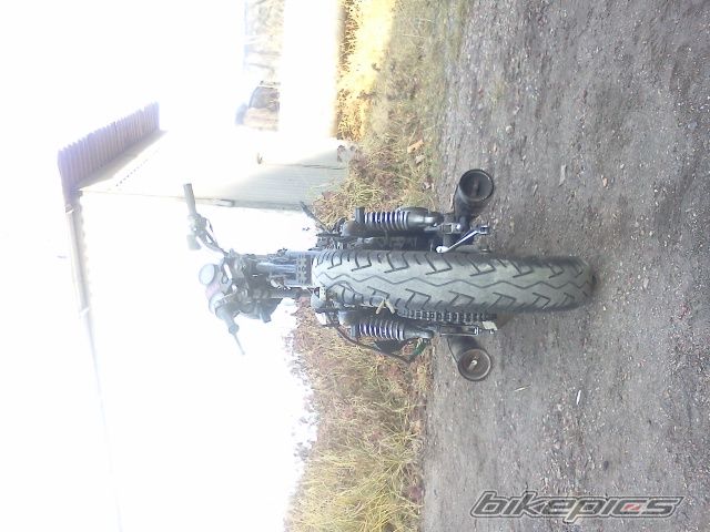 Photo 2312297