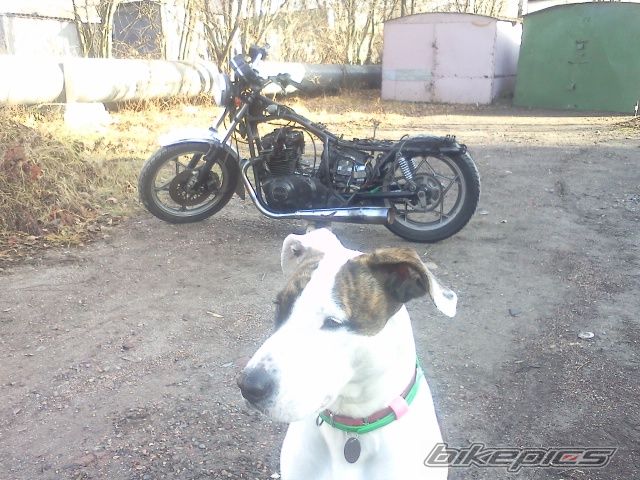 Photo 2312299