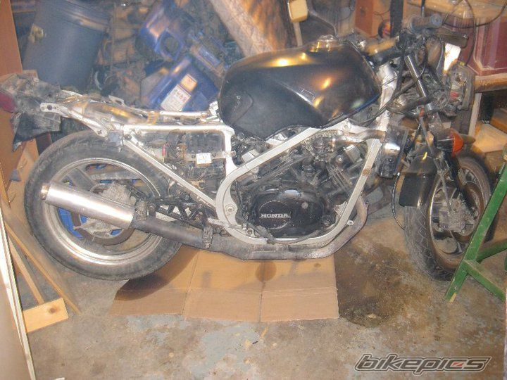 Photo 2312471
