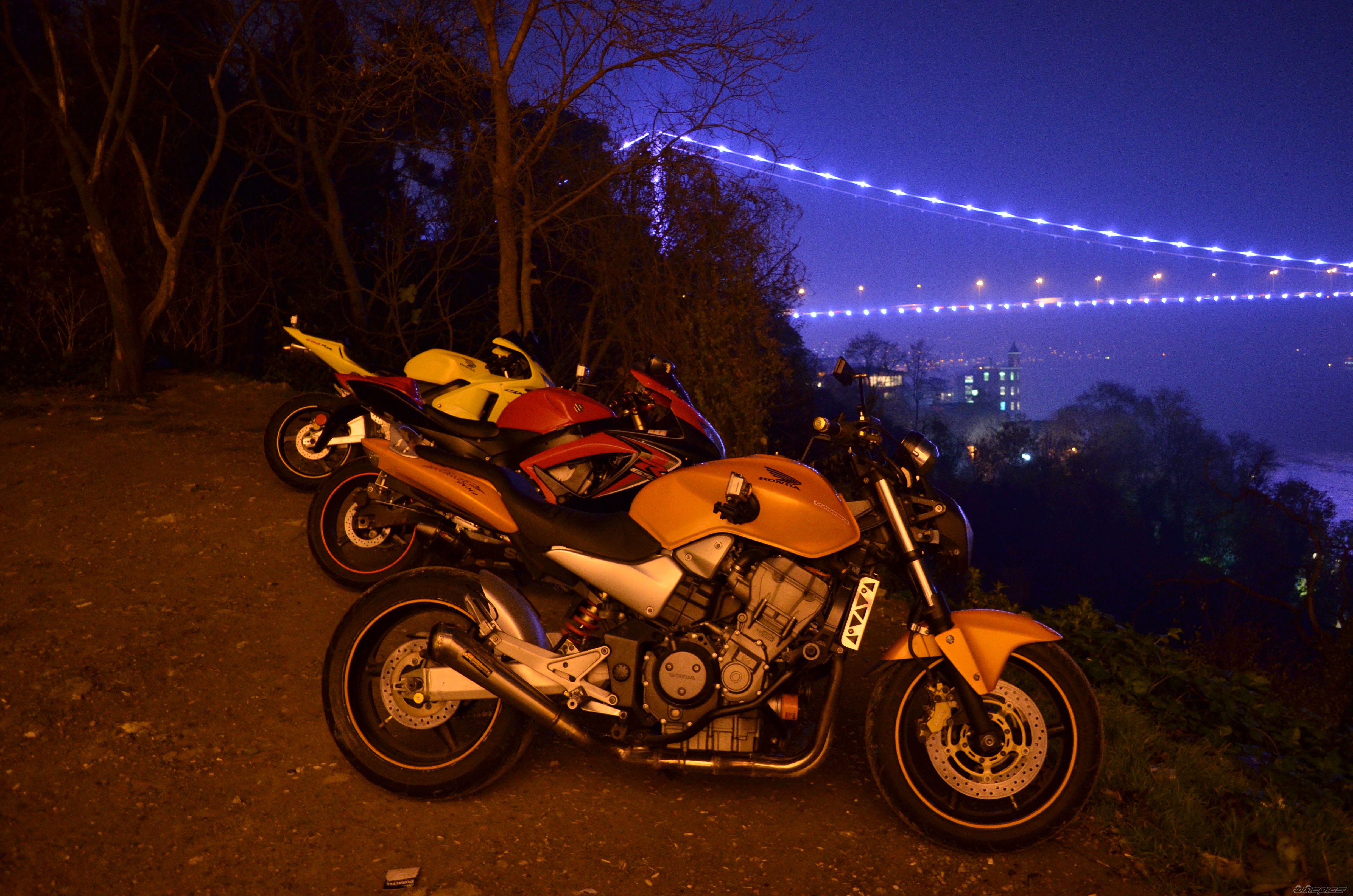 Photo 2312495