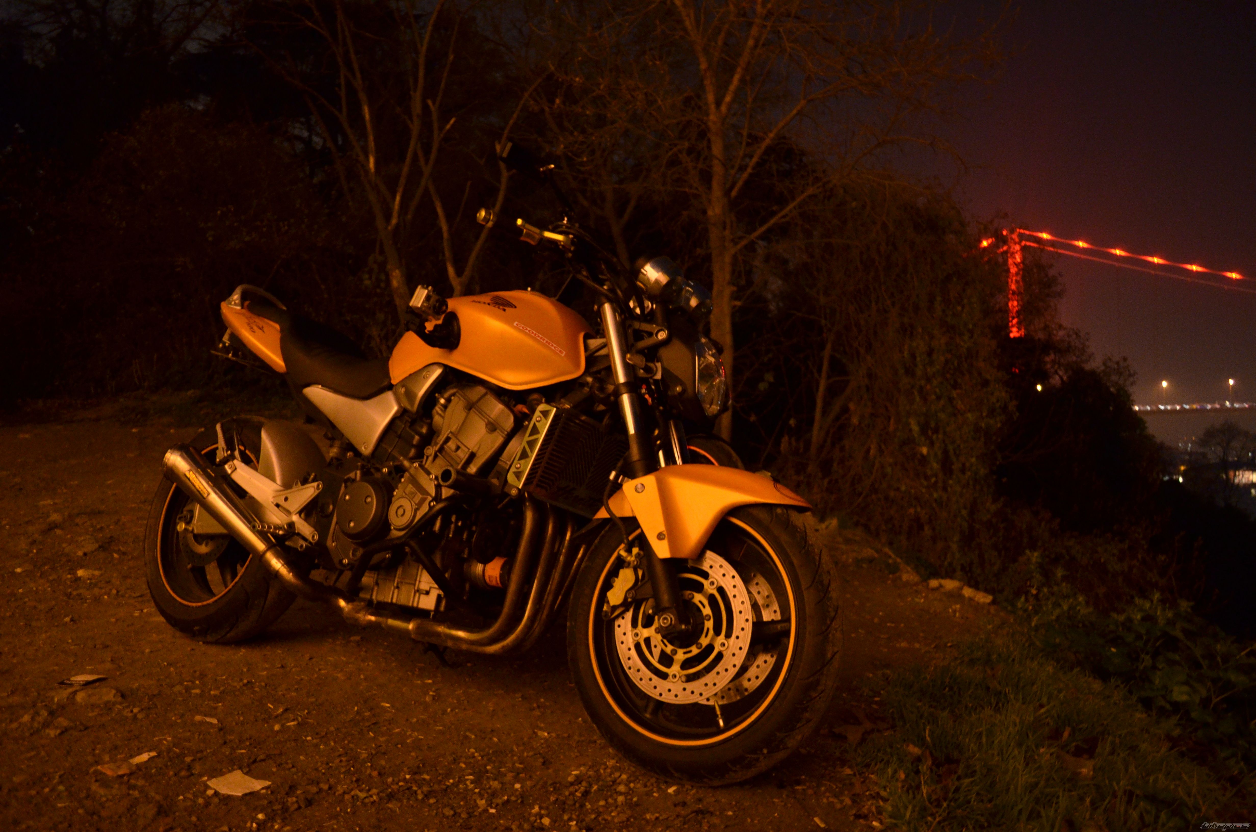 Photo 2312497