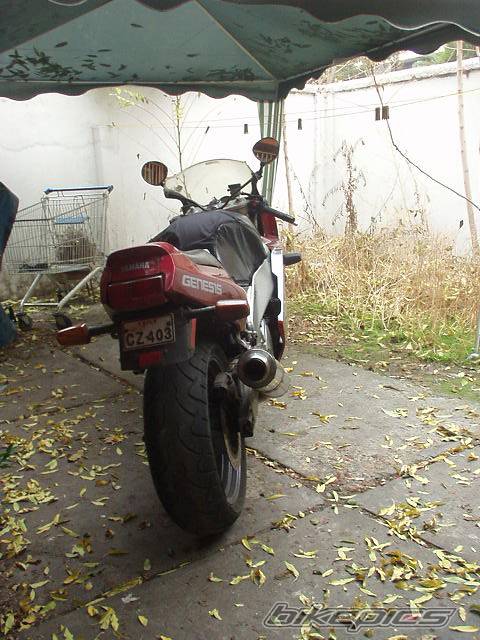 Photo 231255