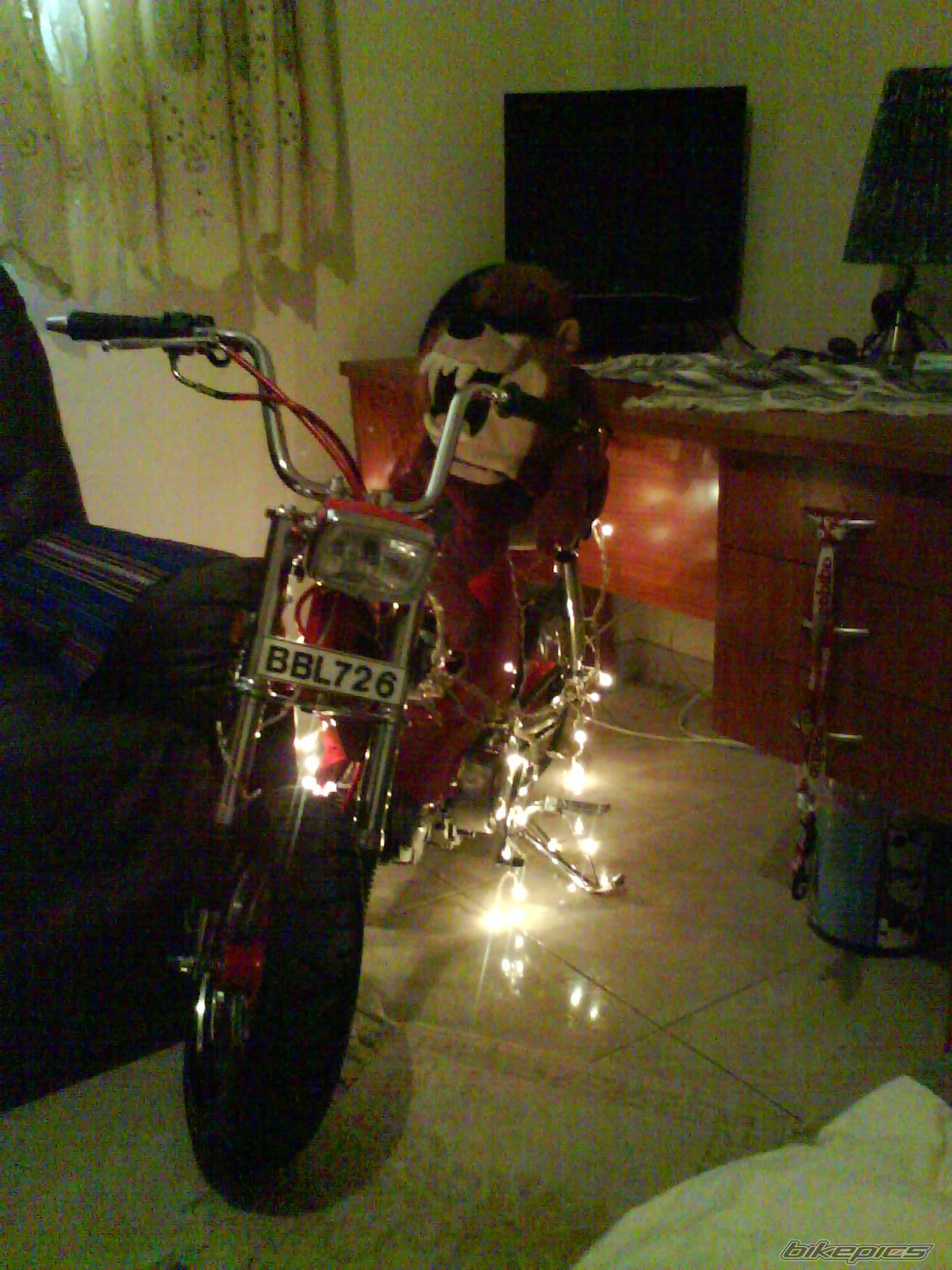 Photo 2312761