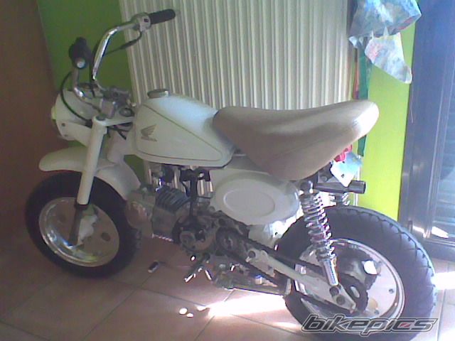 Photo 2312820