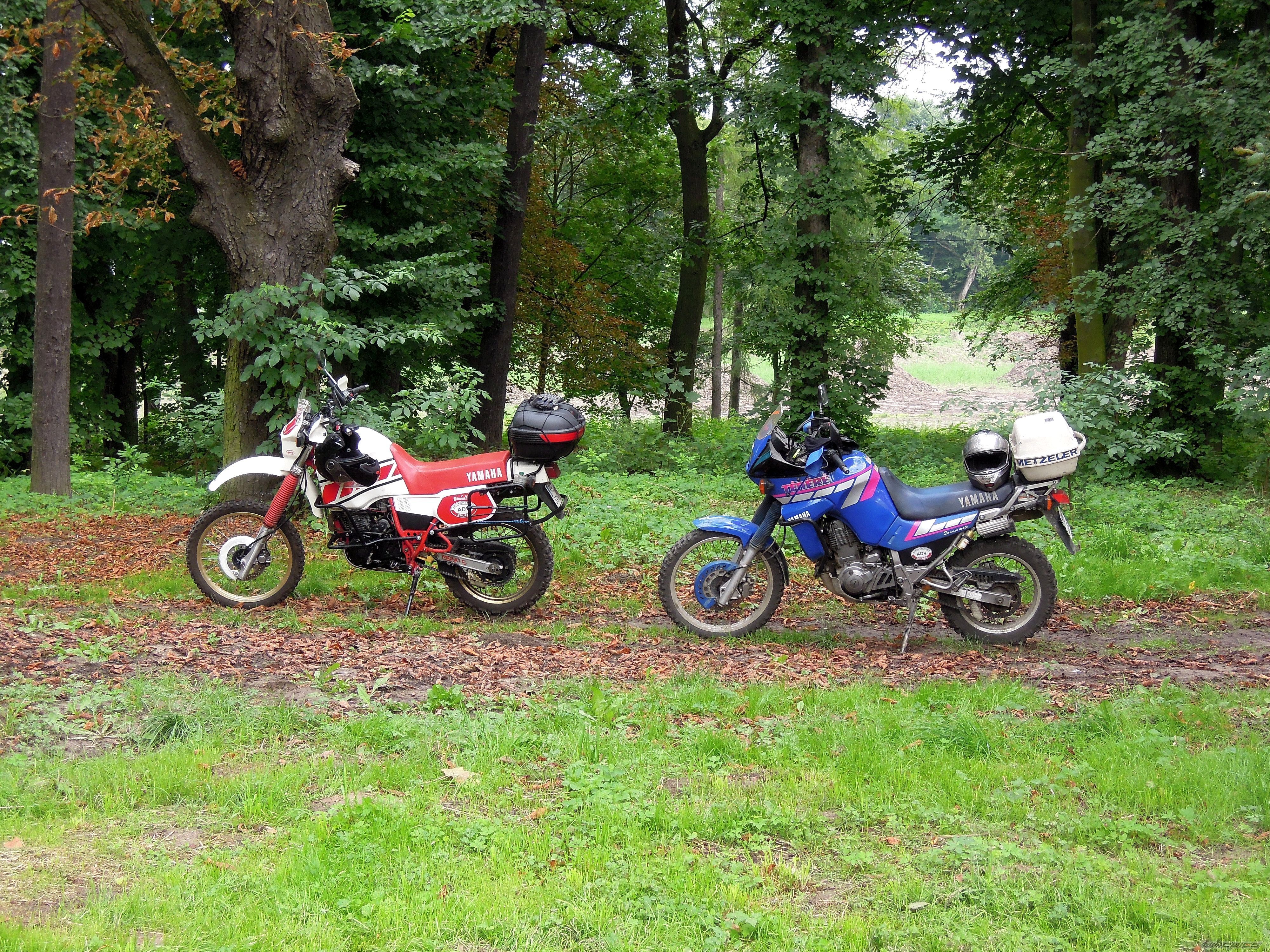 Photo 2312840