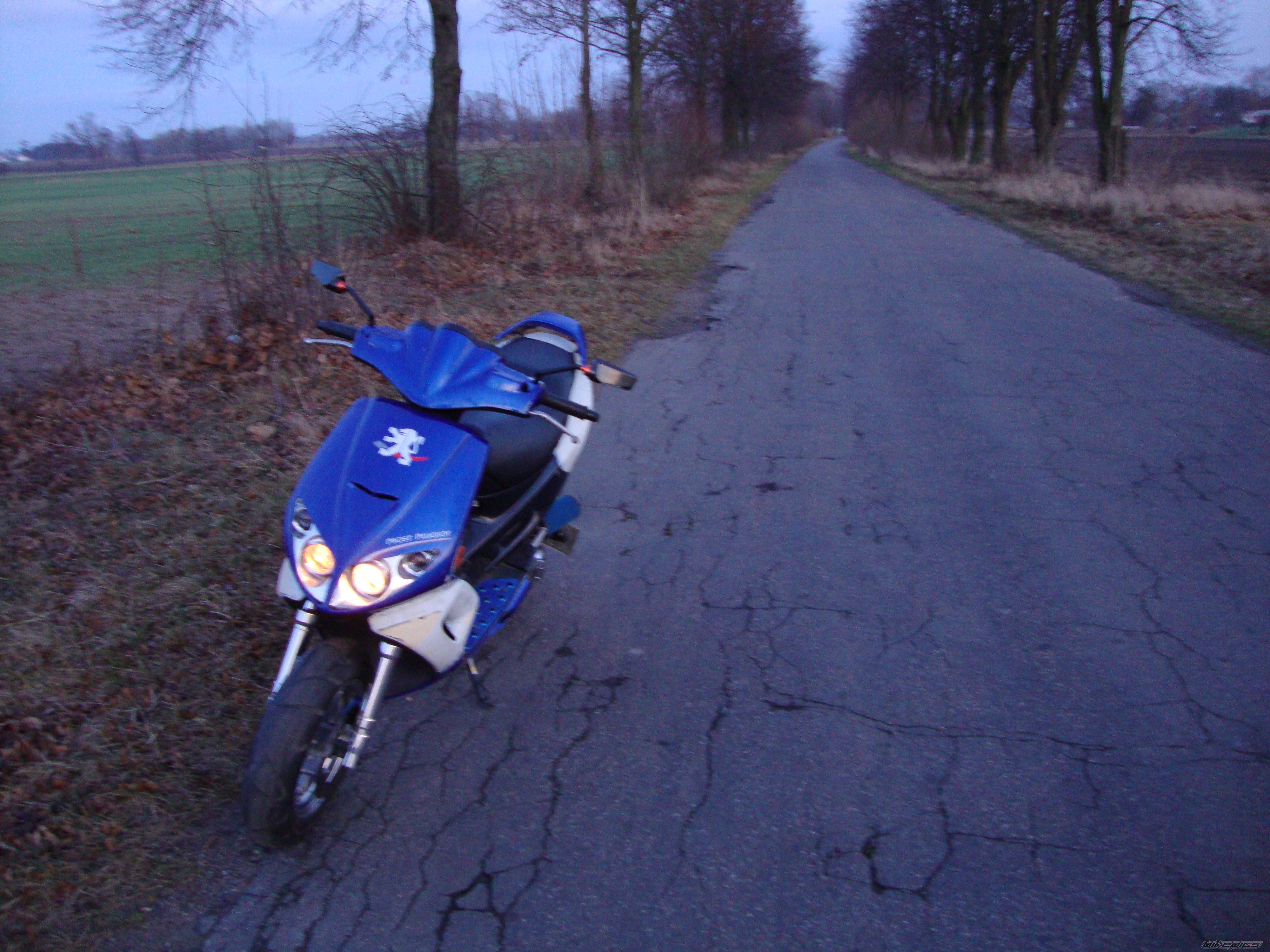 Photo 2312866