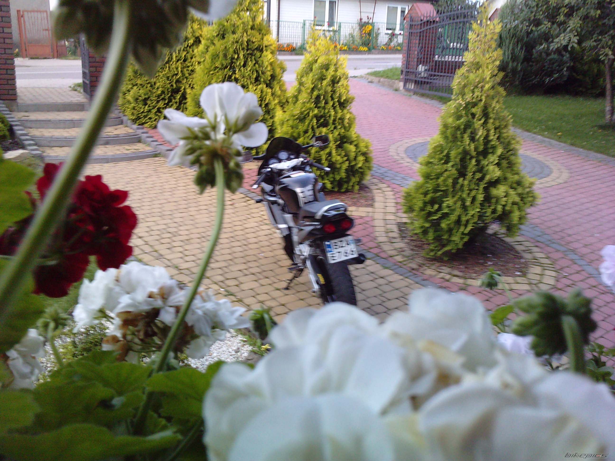 Photo 2312891