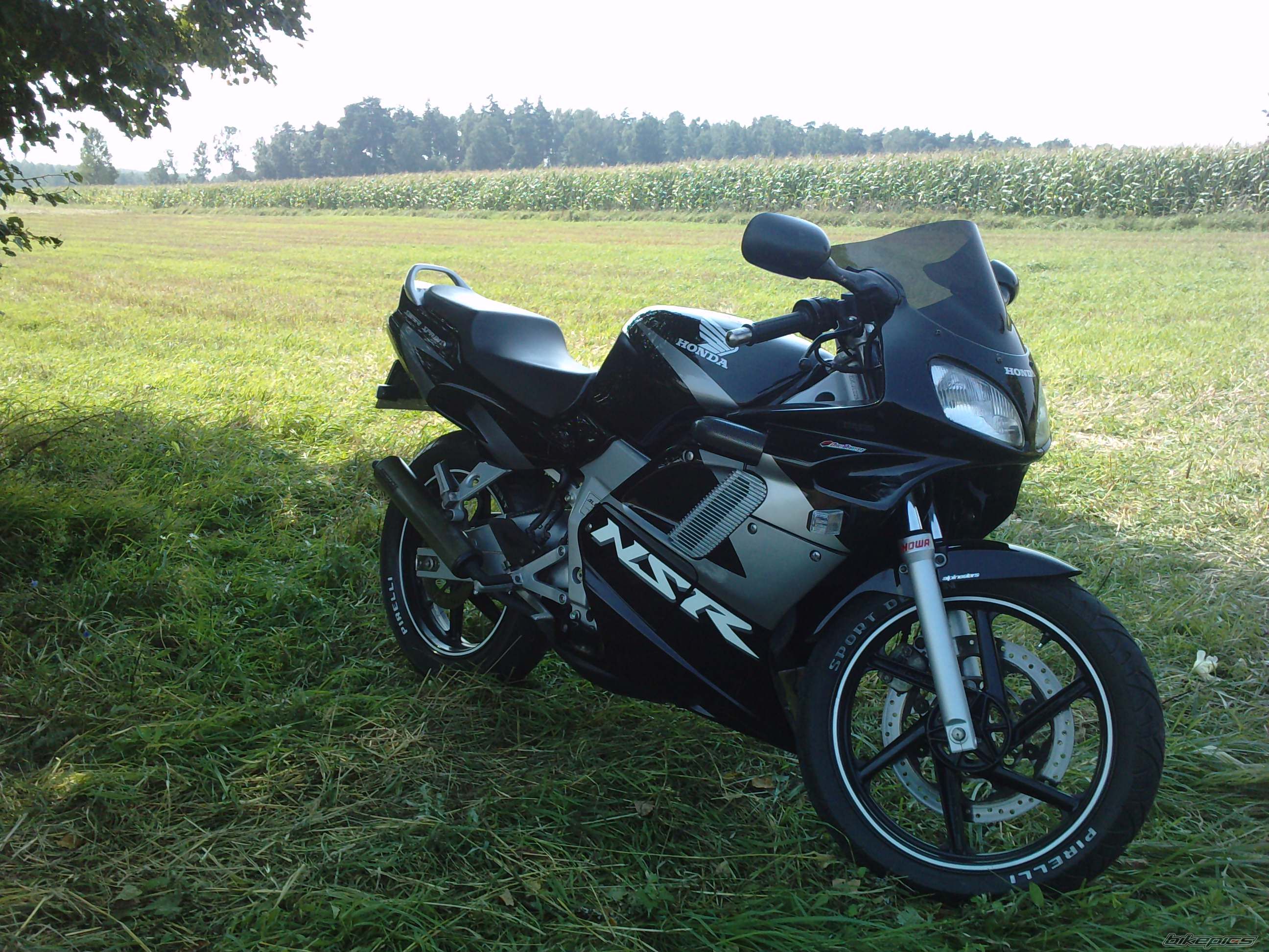 Photo 2312892