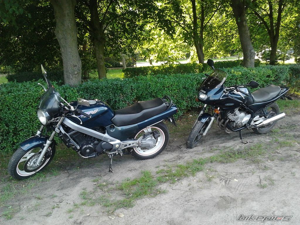Photo 2312898