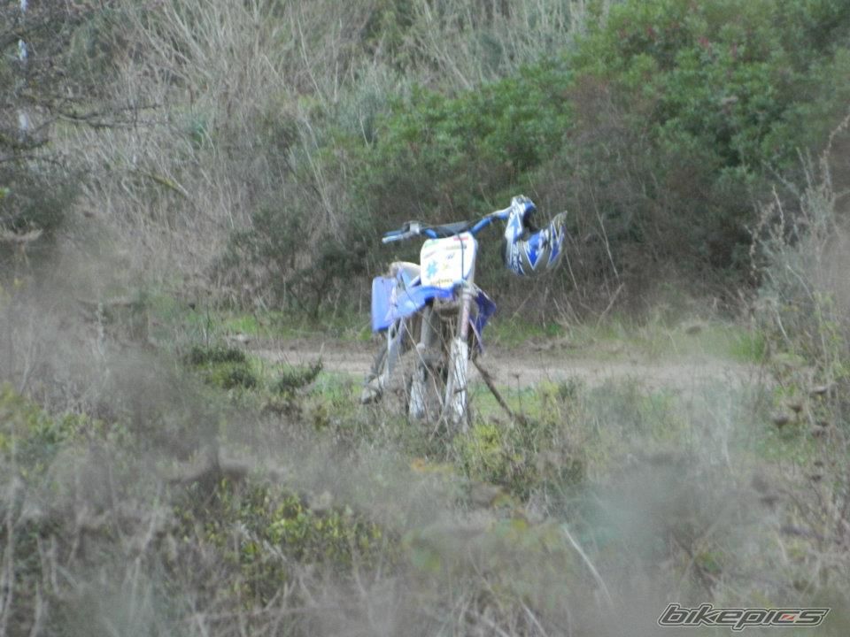 Photo 2312903