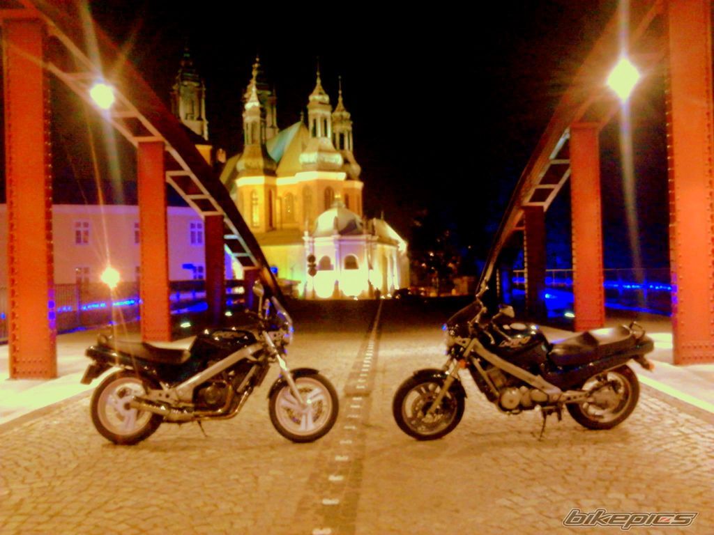 Photo 2312934