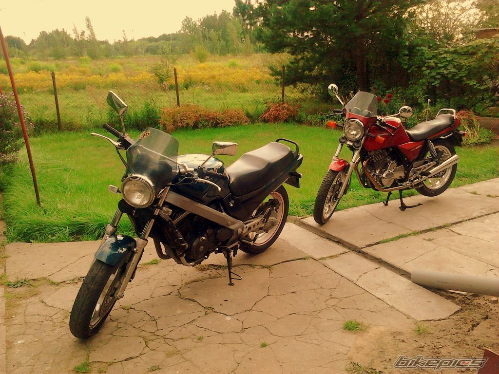 Photo 2312940