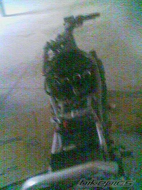 Photo 2312975