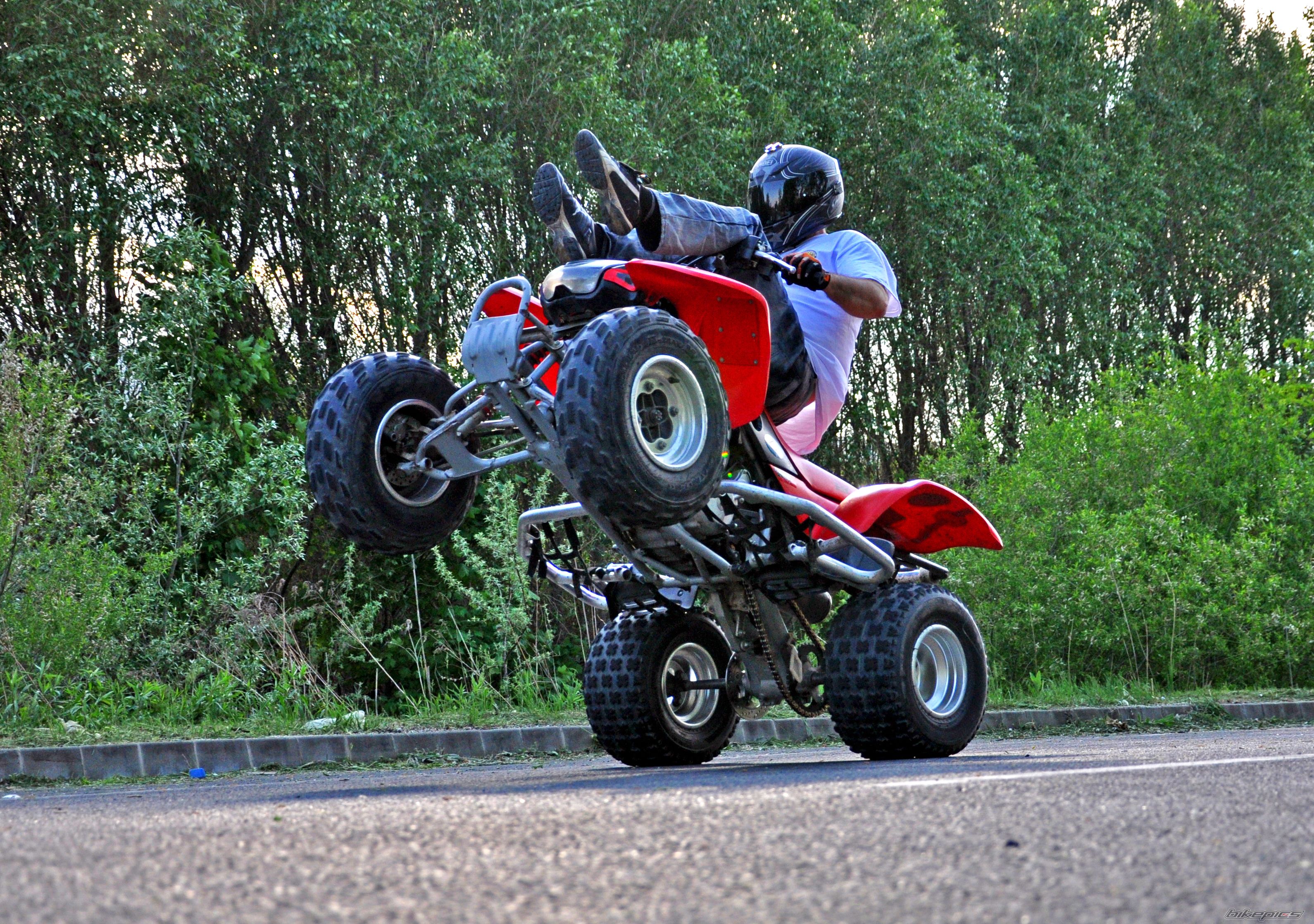 Bike Photo 2313029
