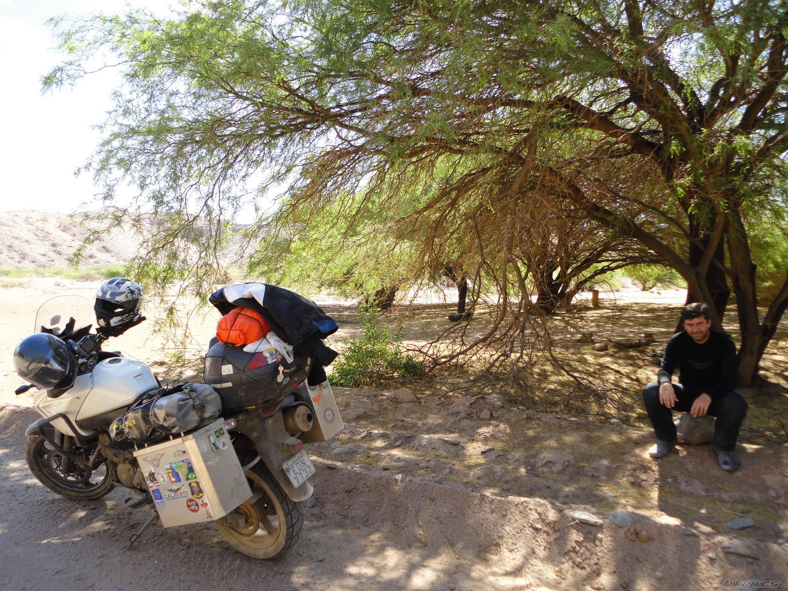 Bike Photo 2313131