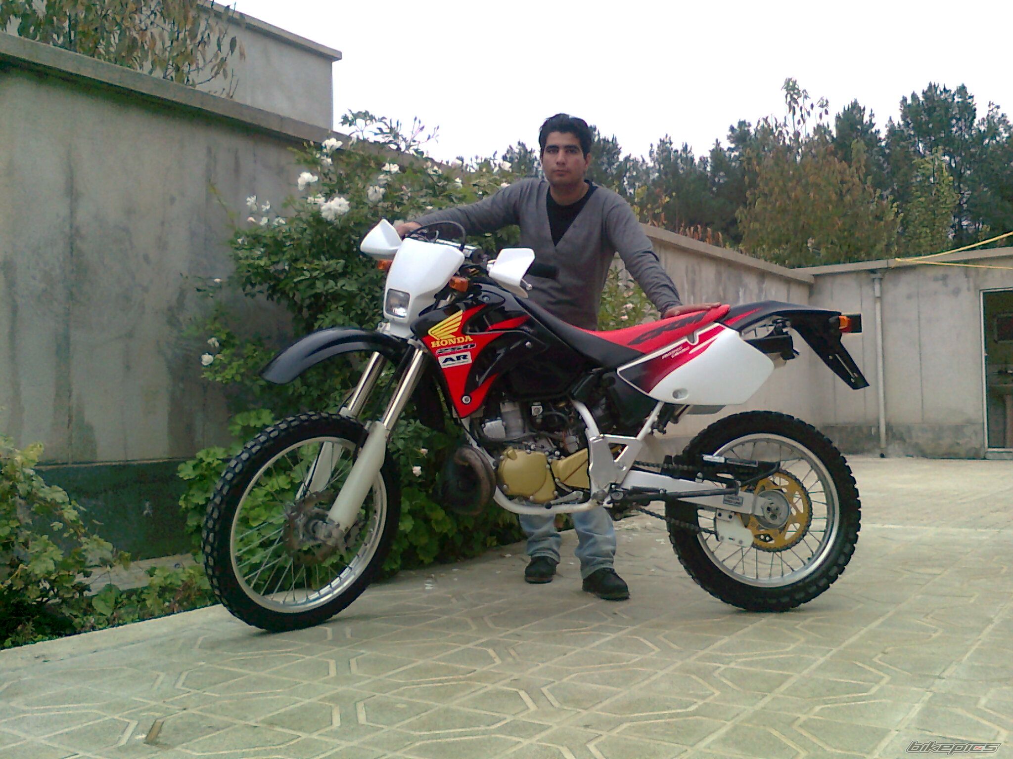 Photo 2313153