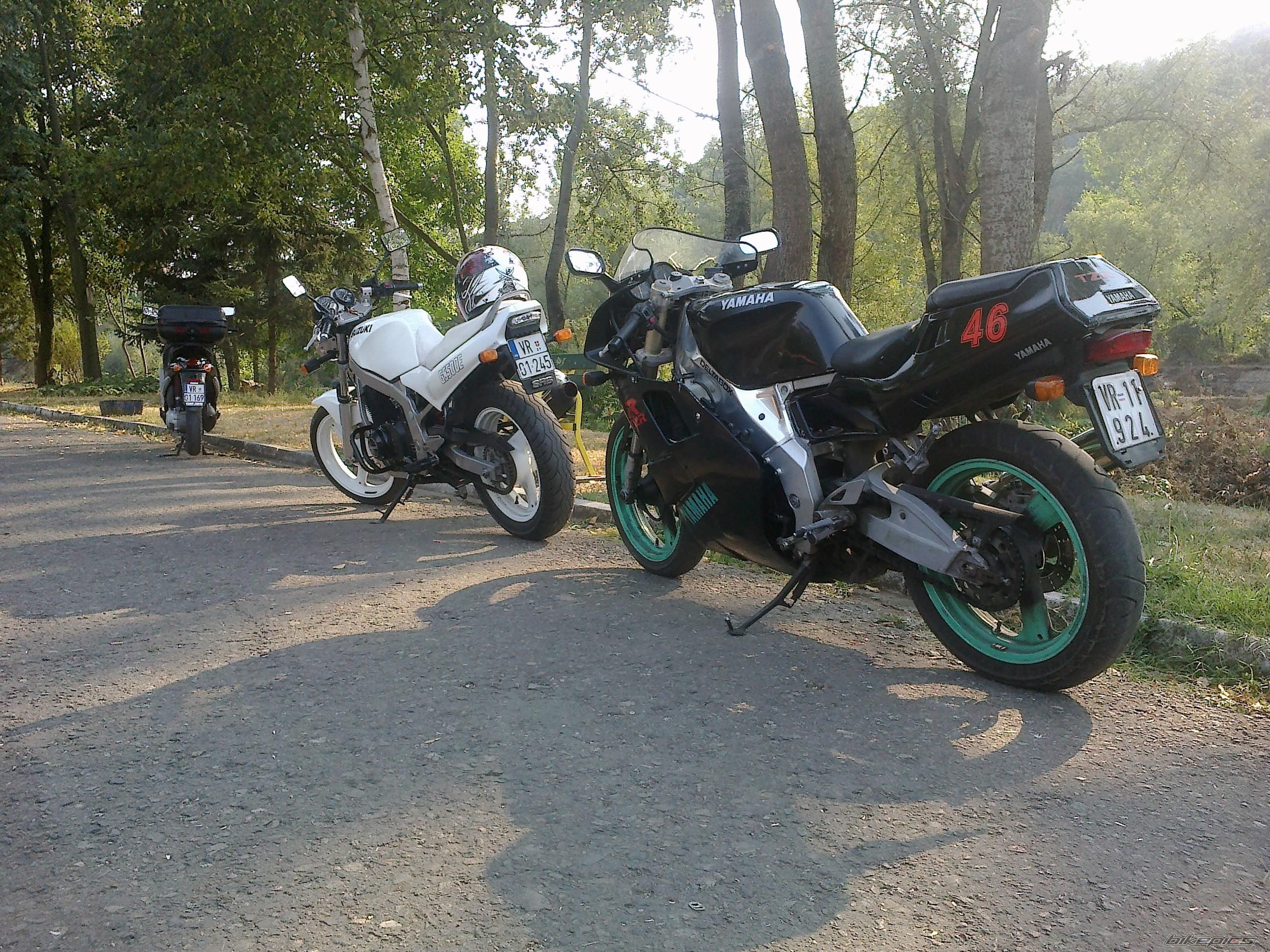 Photo 2313216