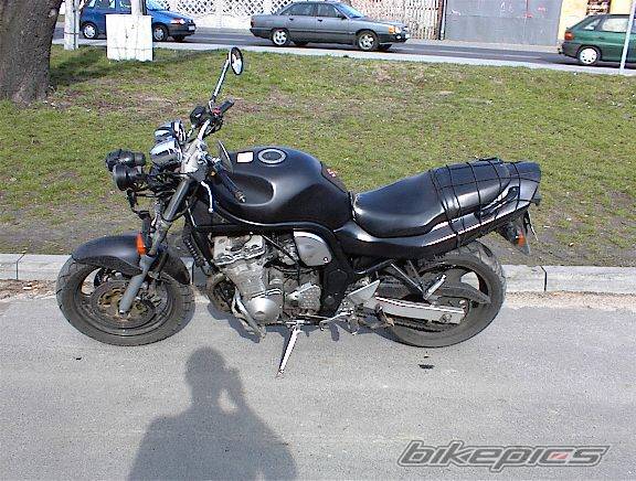 Photo 231323