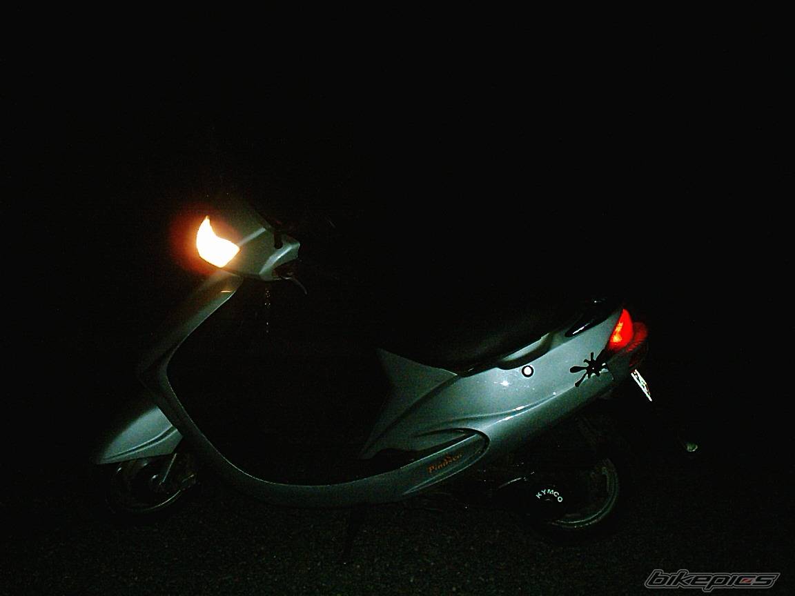 Photo 231330