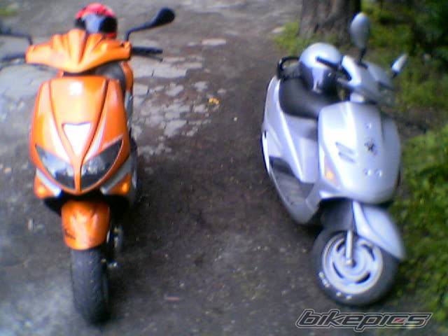 Photo 231332
