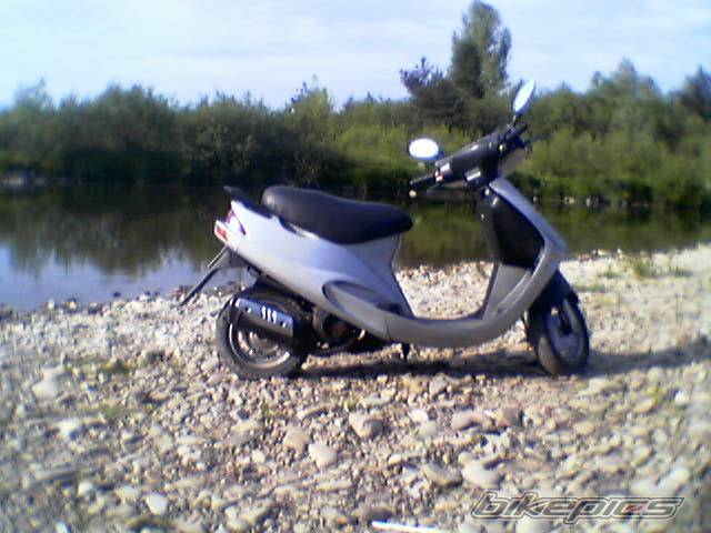Photo 231336