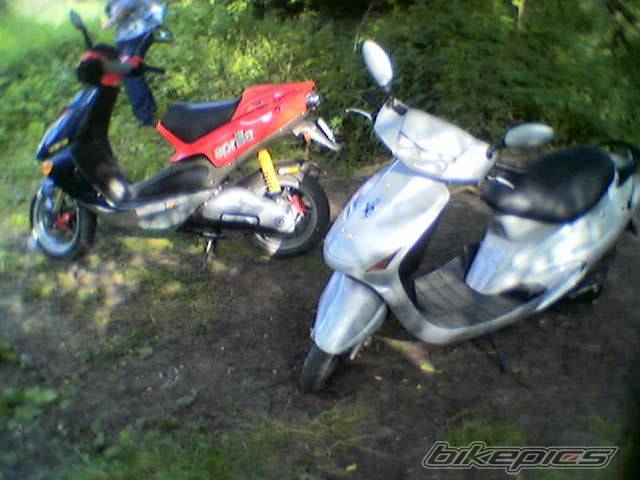 Photo 231337