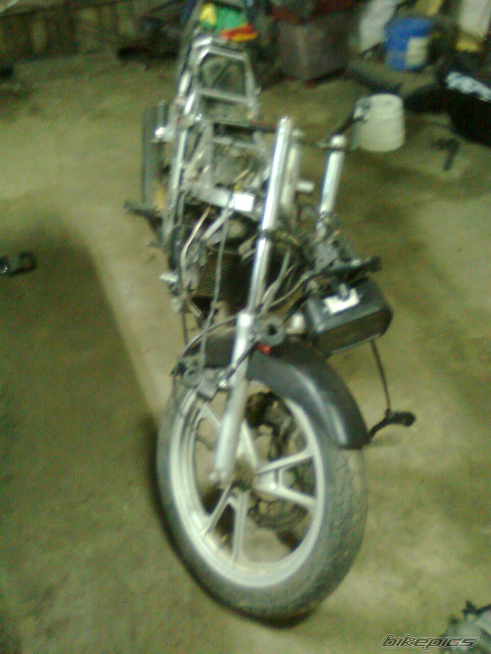Photo 2313408