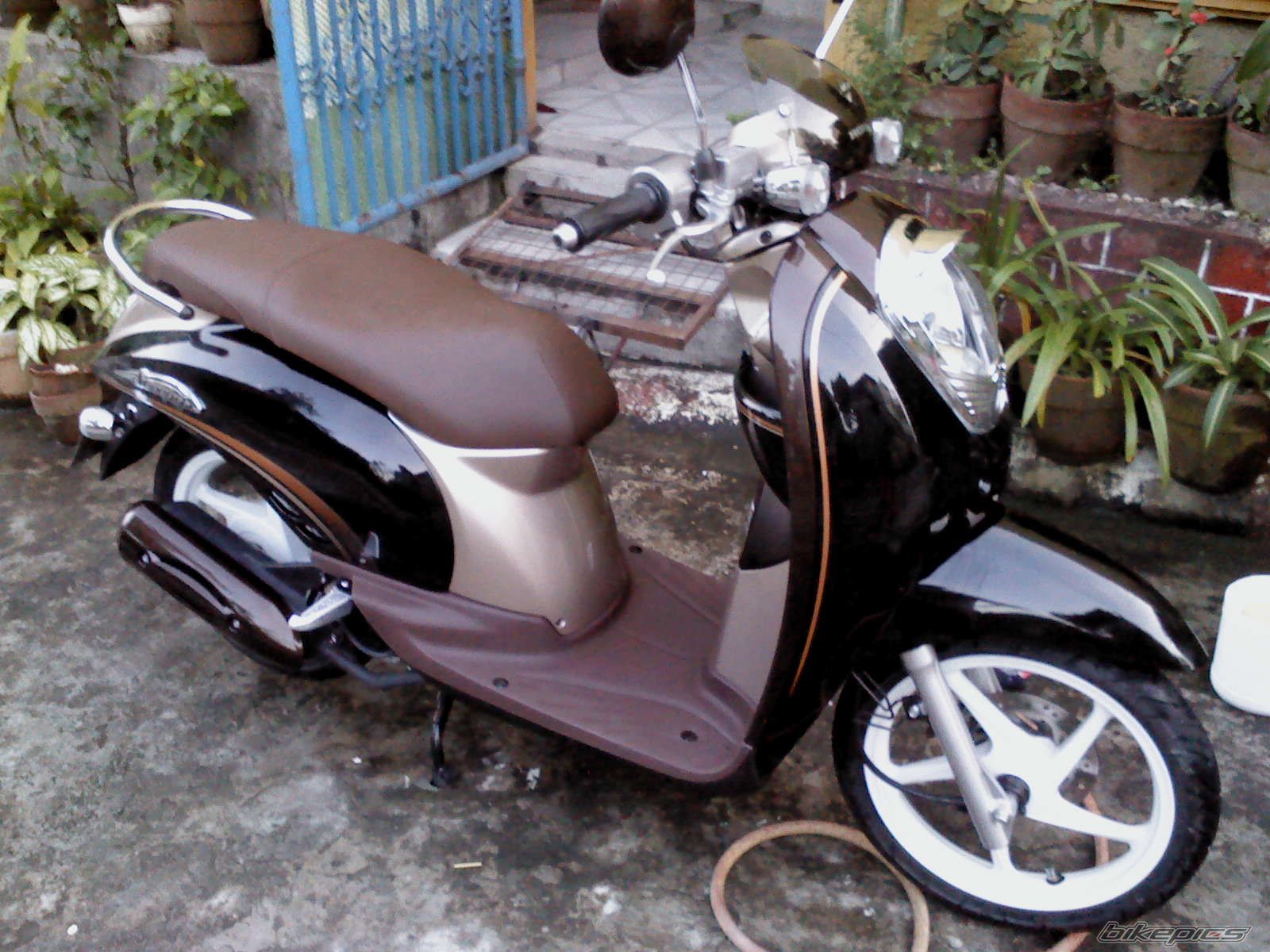 Photo 2313612