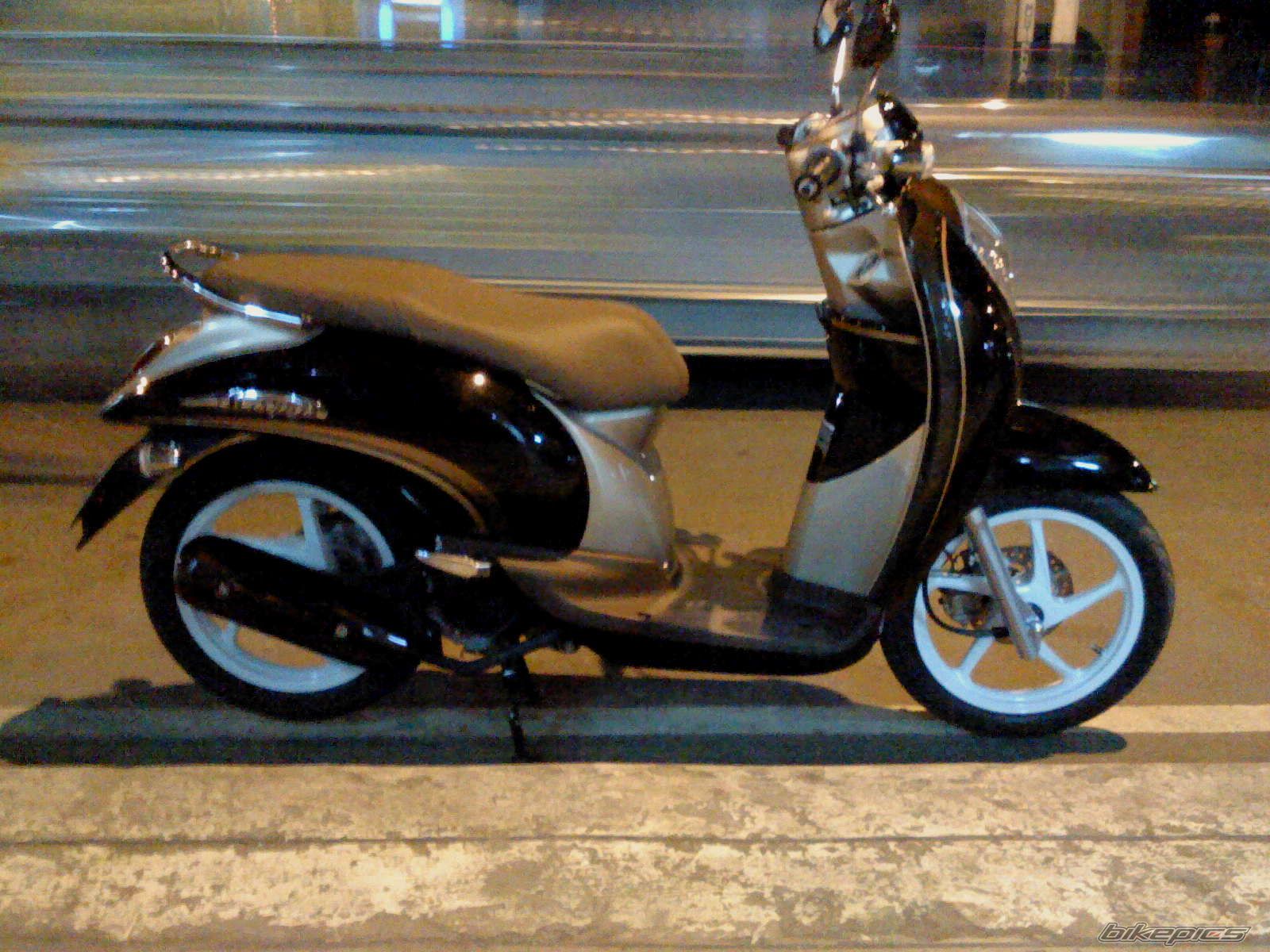 Photo 2313619