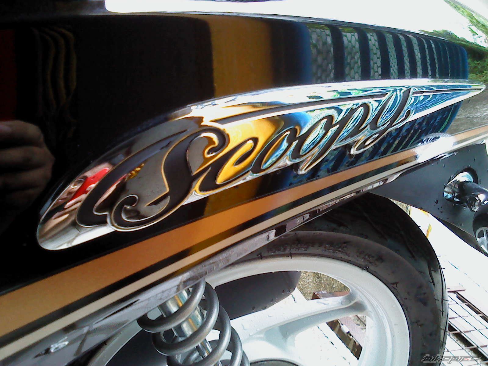 Photo 2313623