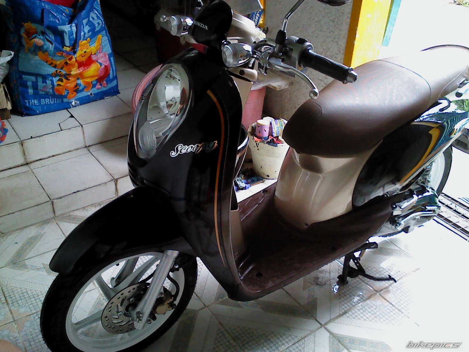 Photo 2313624