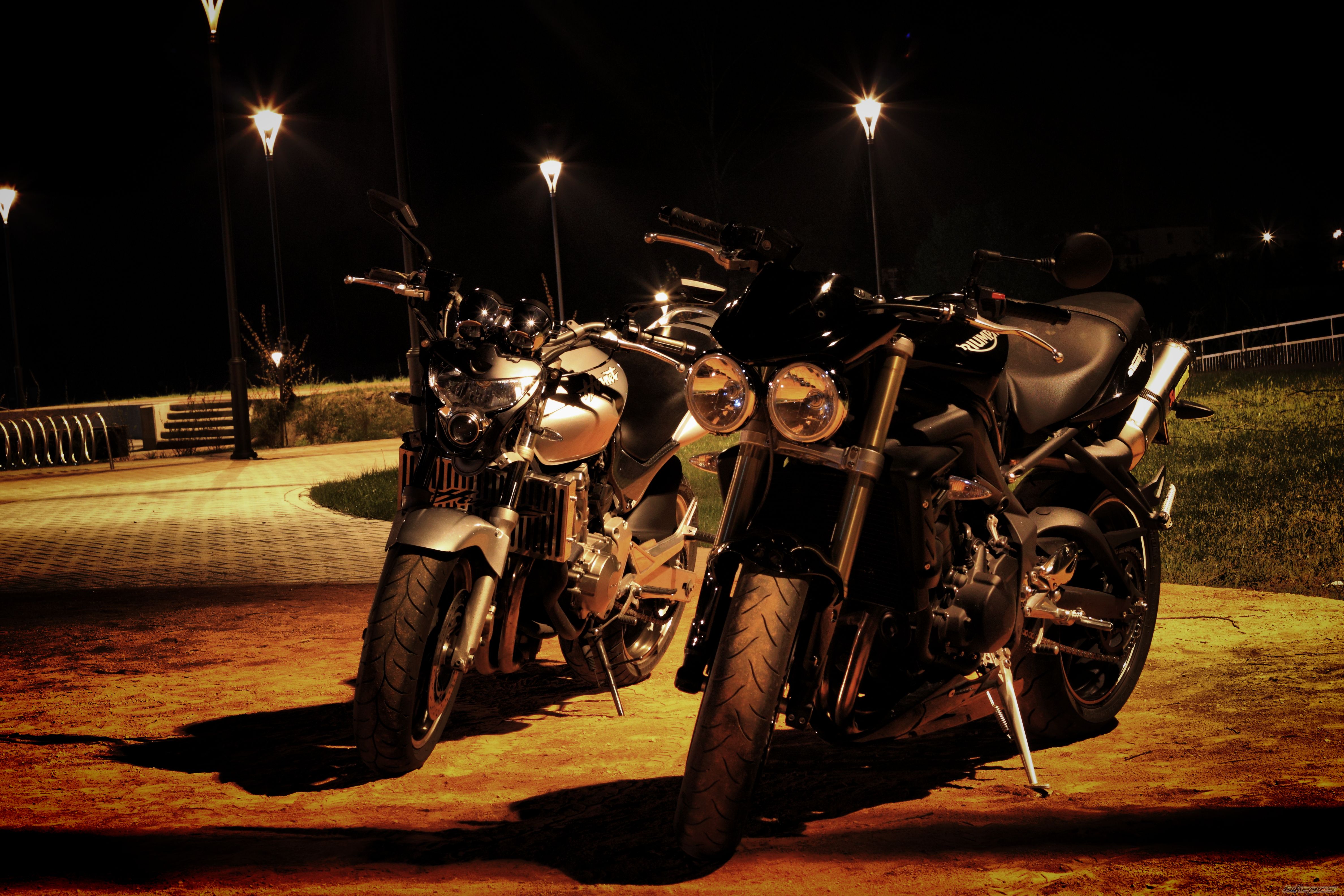 Photo 2313676