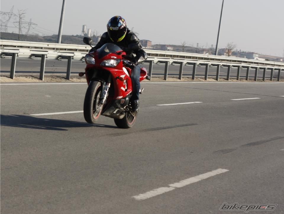 Photo 2313725
