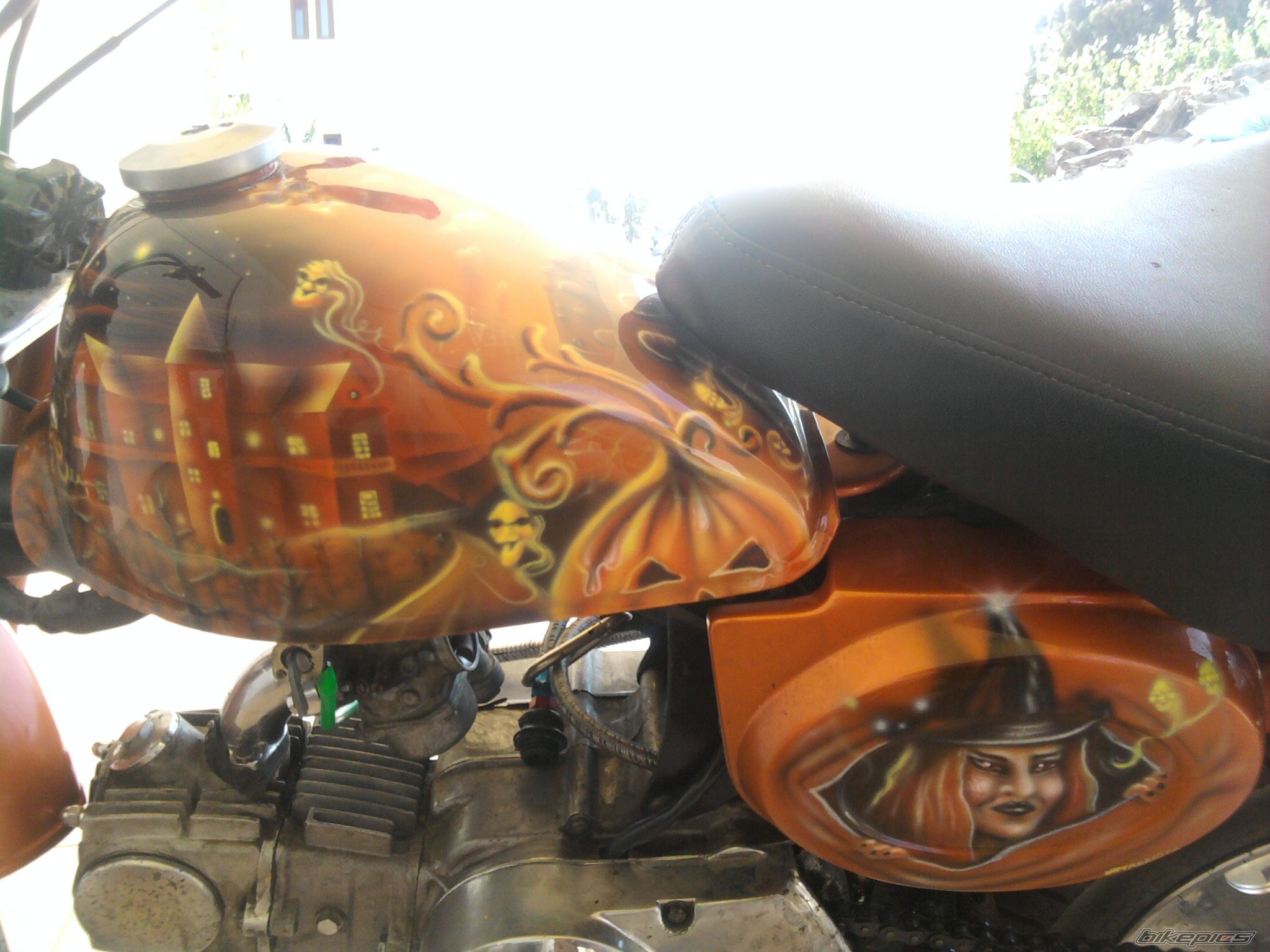 Photo 2313729