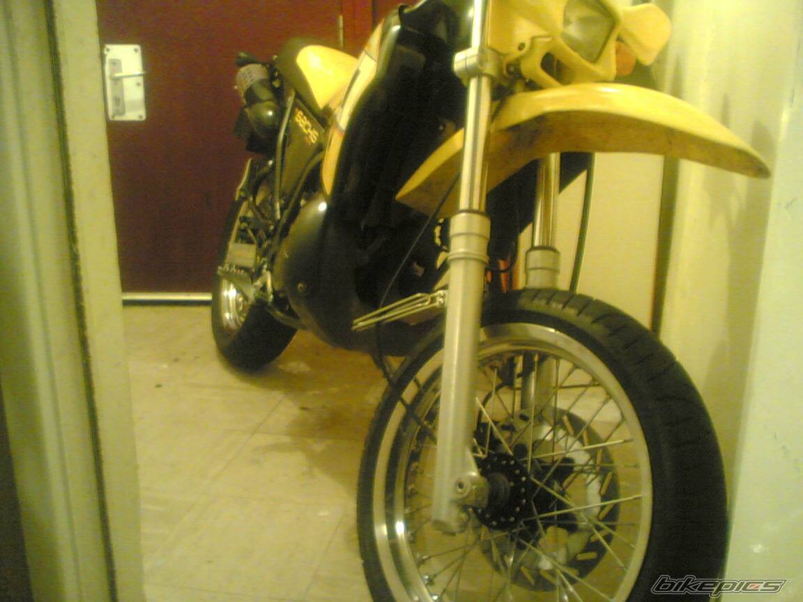 Photo 231376