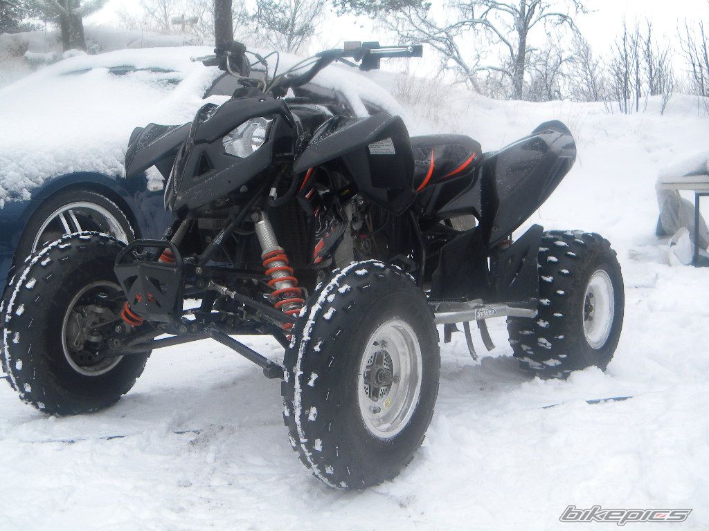 Photo 2313982