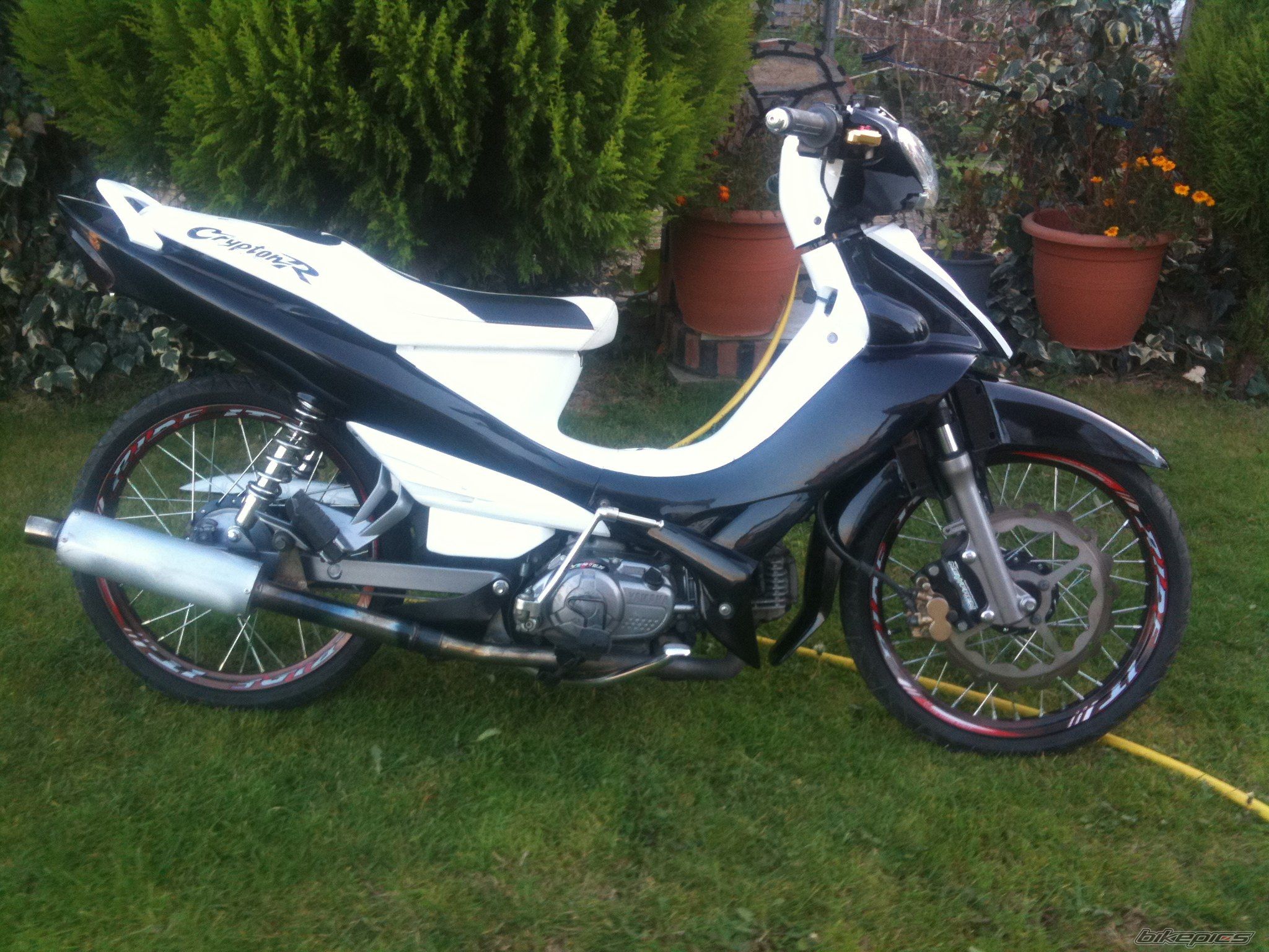 Photo 2314093