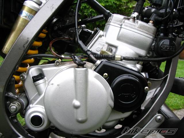 Photo 231414