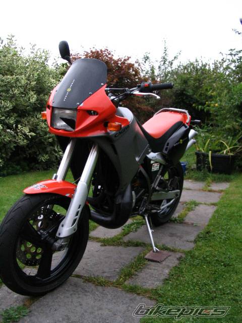 Photo 231420